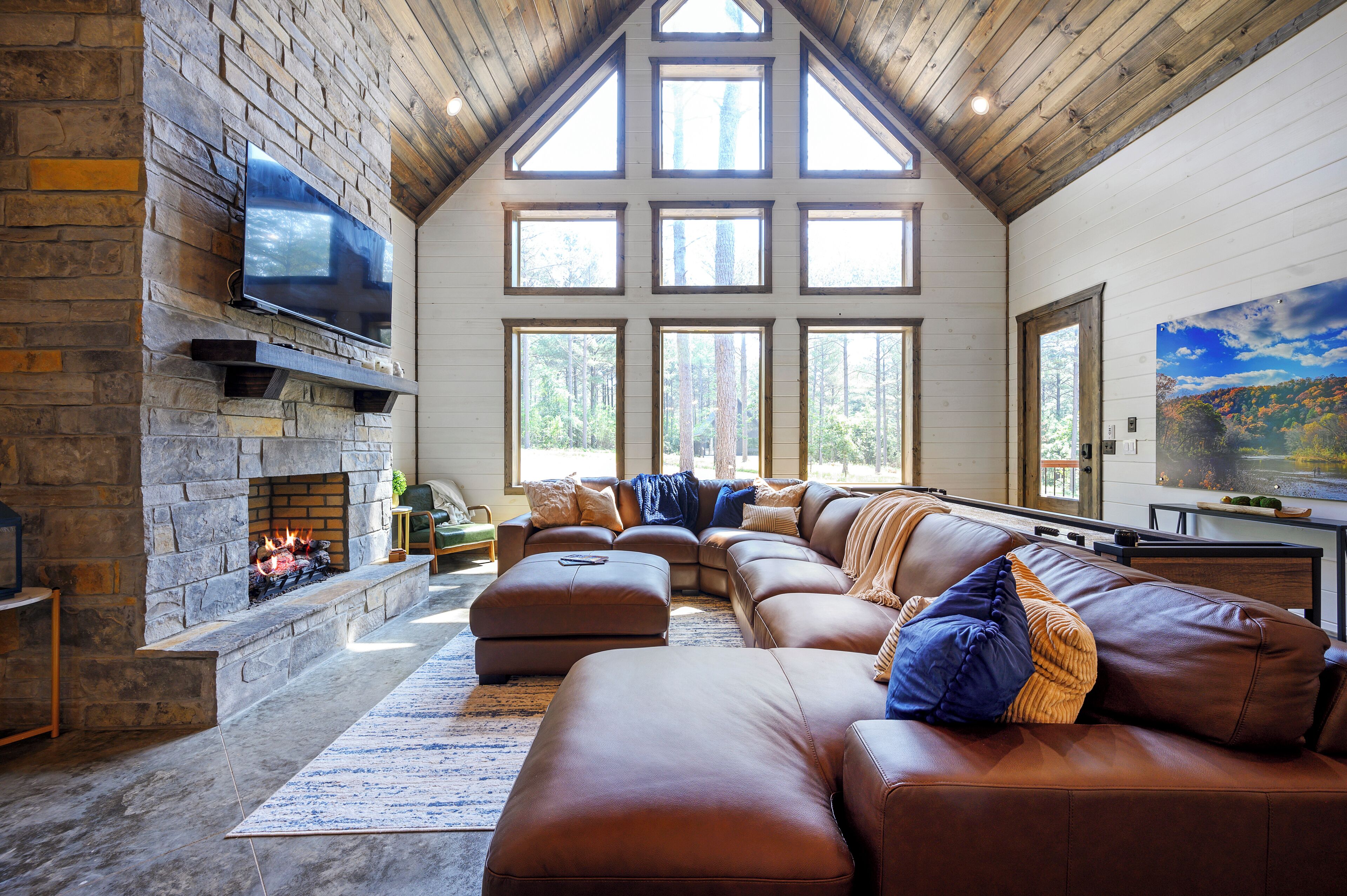 Smart TV, chimenea, videojuegos y libros 