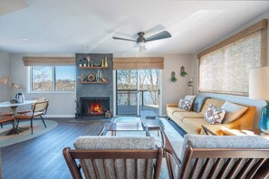 Smart TV, fireplace, DVD player, music library