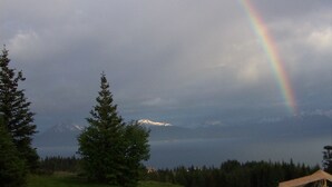 Un champ verdoyant avec un arc-en-ciel, des arbres et une montagne en arrière-plan.