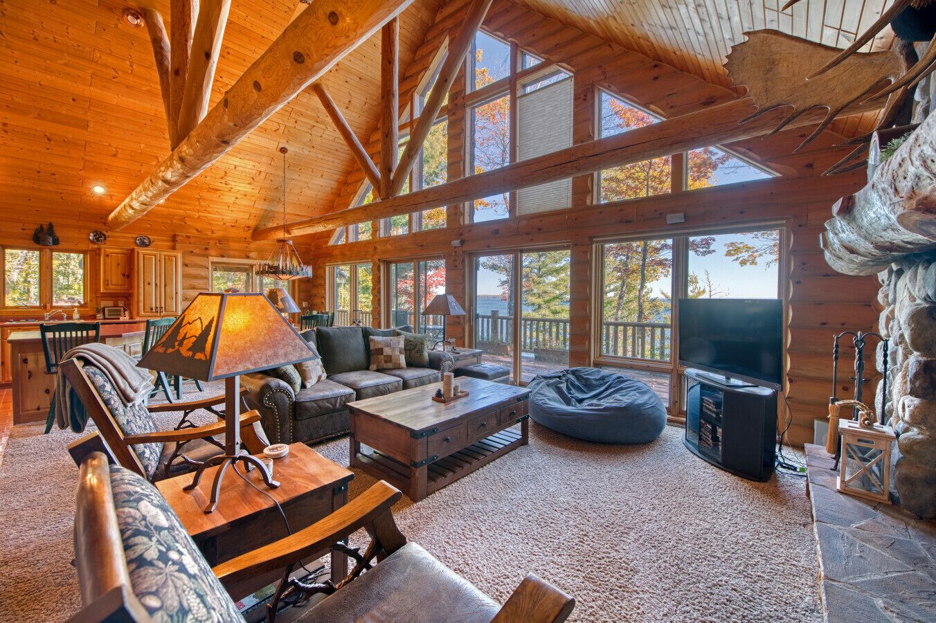 TV, fireplace, books