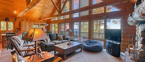 TV, fireplace, books