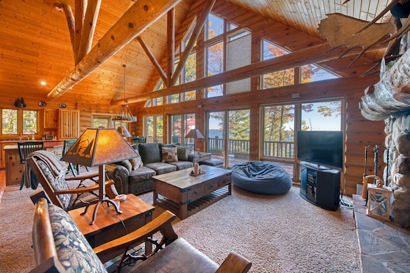 TV, fireplace, books