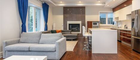 TV, fireplace