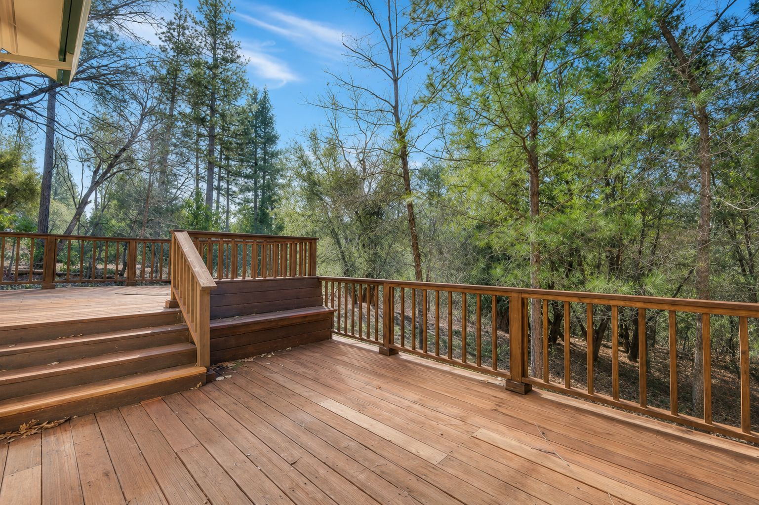 Une terrasse en bois avec un escalier menant à une zone abritée, le tout entouré d’arbres.