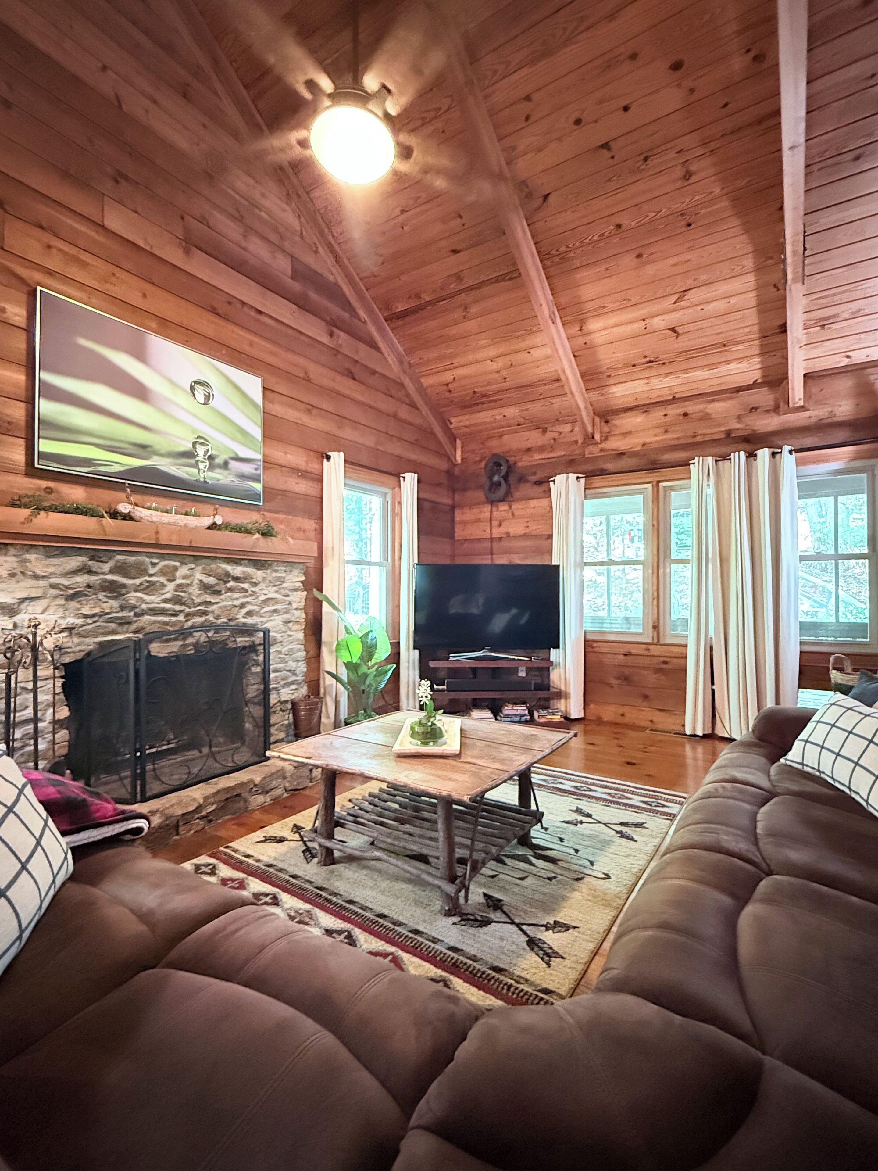 TV, fireplace, table football, books