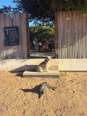 Enceinte de l’h ébergement