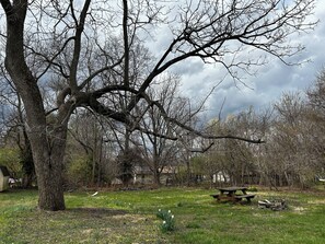 House | 3 bedrooms - Woodlawn House in Bloomington (Bloomington)