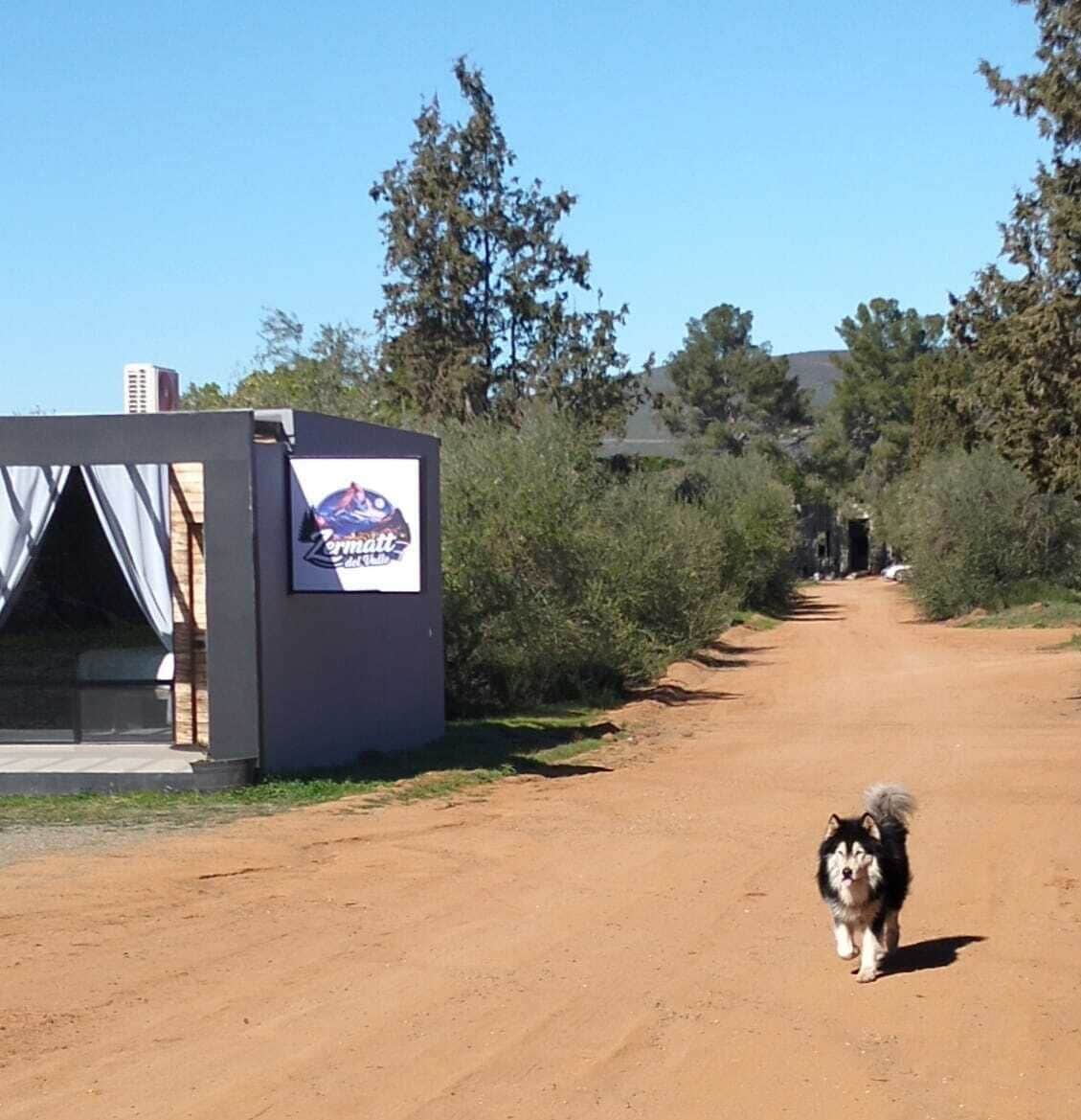 Animaux de compagnie acceptés