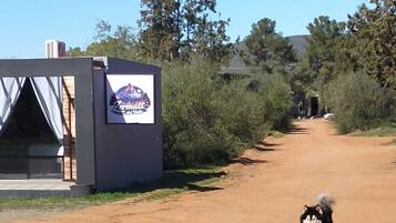 Animaux de compagnie acceptés