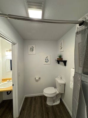 Une petite salle de bain comprenant des toilettes, une petite étagère avec une plante et deux tableaux accrochés au mur.