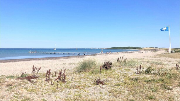 Ein Strand mit sandigem Ufer, spärlicher Vegetation und blauem Himmel.