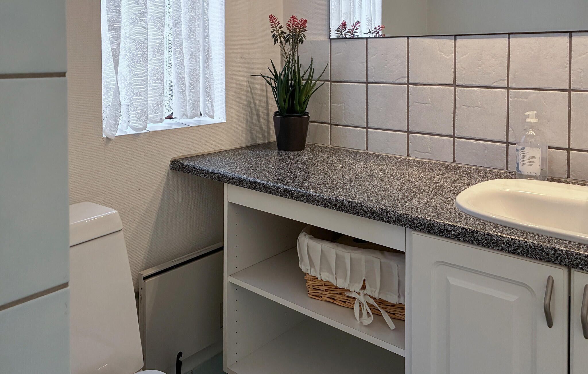 Un baño con encimera de granito, lavabo blanco y una planta en maceta.