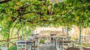 An outdoor seating area with tables and chairs under a pergola covered with vines. - Cozy apartment in Montecastelli Pisano (Montecastelli Pisano)