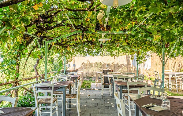 Un espace extérieur aménagé avec des tables et des chaises, installé sous une pergola recouverte de plantes grimpantes.