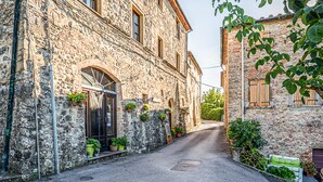 A narrow street with stone buildings, a door with a window, and potted plants. - Cozy apartment in Montecastelli Pisano (Montecastelli Pisano)