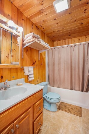 Hair dryer, towels, soap, toilet paper - Charming 1 Bedroom apartment - on the river front on Mountain estate in Shushan (Shushan)