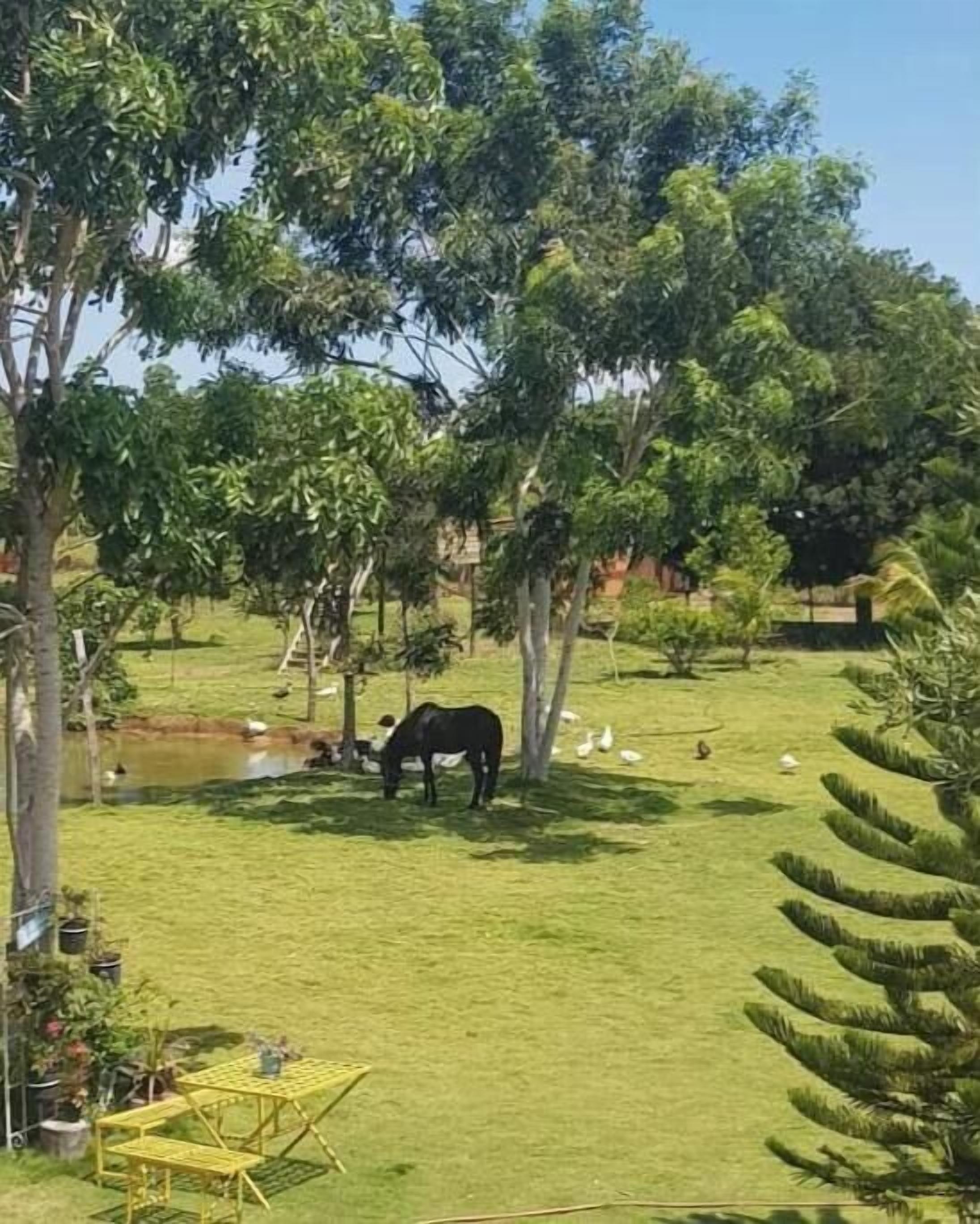 Jardines del alojamiento