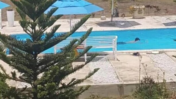 A swimming pool with lounge chairs and umbrellas, surrounded by greenery and a clear sky.