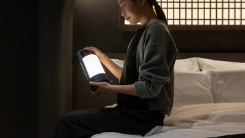 Habitación clásica doble | Wifi gratis