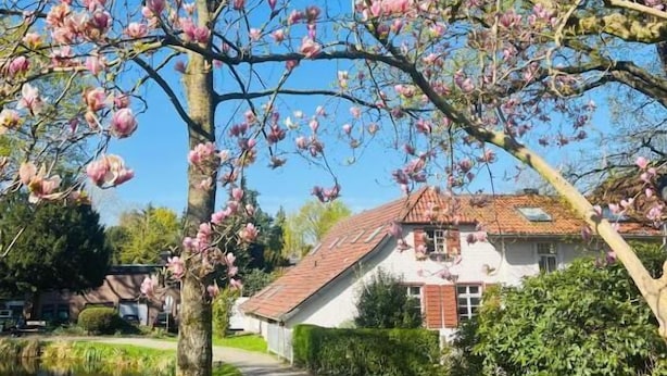 Un sendero que conduce a una casa tradicional con un estanque y árboles en flor.