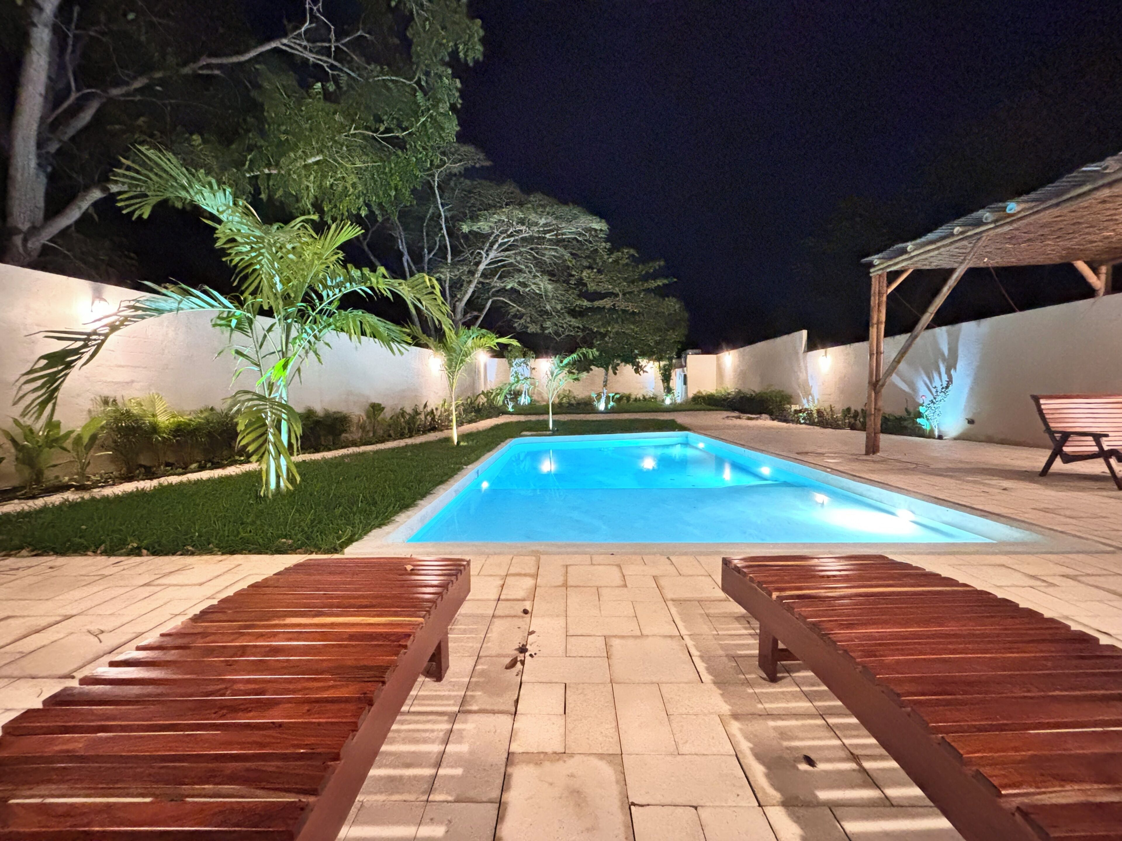 A swimming pool with wooden loungers, surrounded by a garden with various plants and a white wall.