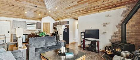 电视、DVD 播放器