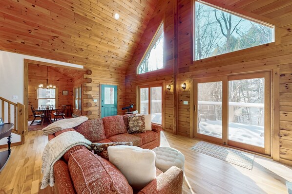 TV, fireplace, DVD player, books