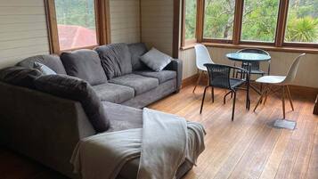 Télévision, cheminée, livres