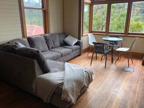 TV, fireplace, books
