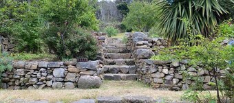 Stone Walls in Derby