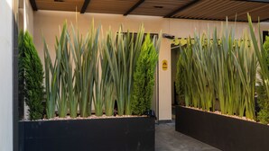 Ingresso di un edificio moderno con fioriere nere contenenti piante verdi alte e un cartello giallo di avvertimento.