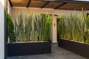 Entrada de um edifício moderno com vasos pretos contendo plantas verdes altas e uma placa de aviso amarela.