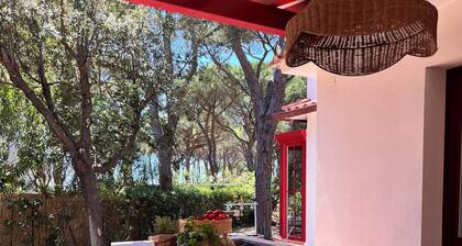 Charm and tranquility under the maritime pines, stone's throw from the beach