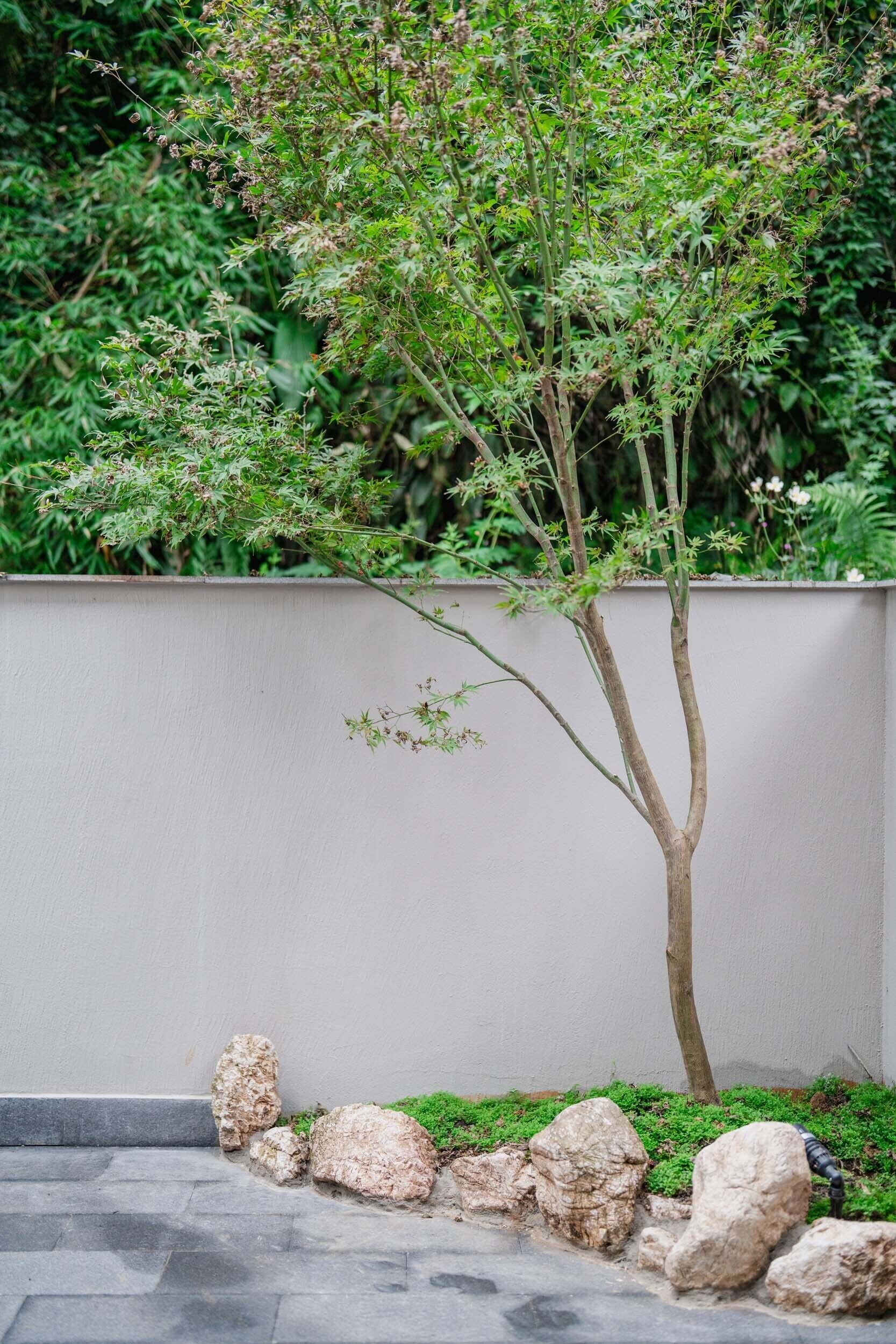 高级双人房, 山景 | 办公桌、免费 WiFi、床单