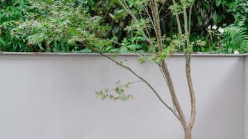 Superior Double Room, Mountain View | Desk, free WiFi, bed sheets