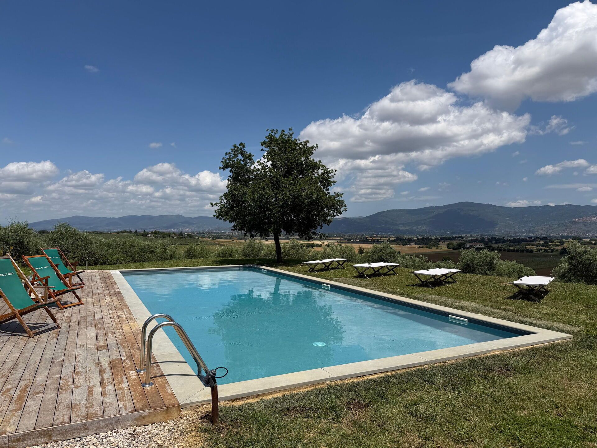 A rectangular swimming pool with a wooden deck and lounge chairs, surrounded by grass and a tree, with a mountainous landscape in the background.