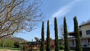 Un jardí paisatjístic amb alberes i arbustos ben podats i un camí de grava.