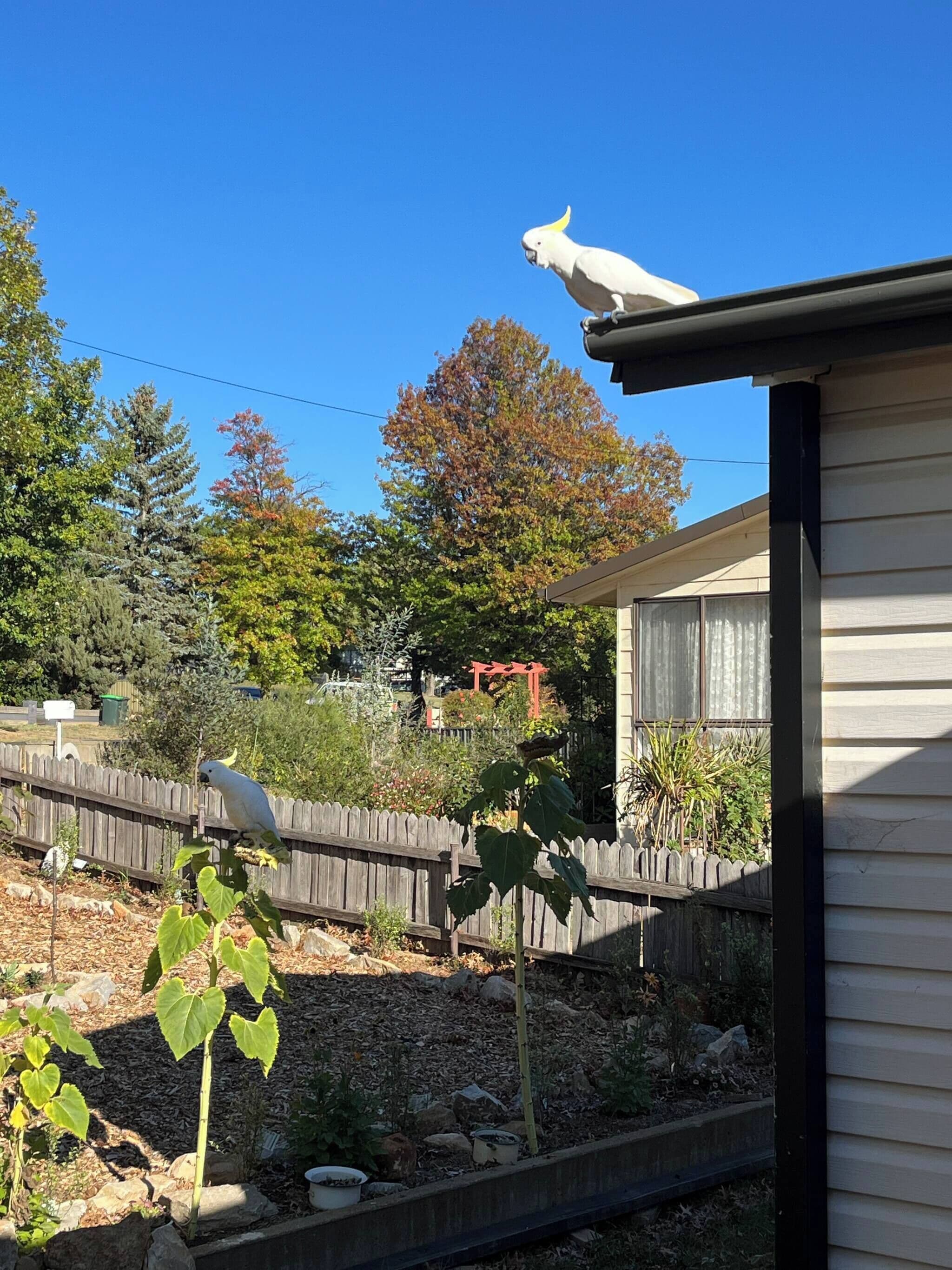 Parco della struttura