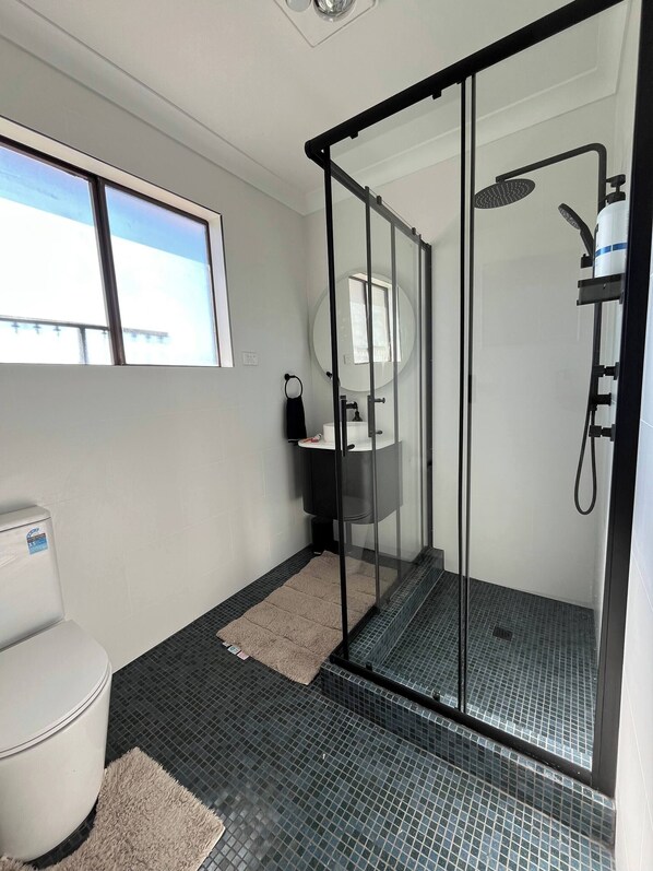 Shower, hair dryer, towels