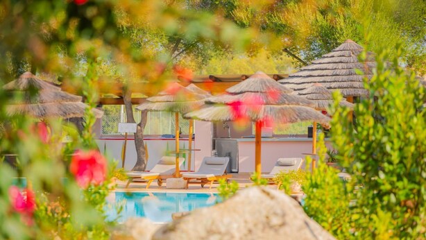 Zona de piscina con sillas de descanso y sombrillas de paja, rodeada de vegetación.