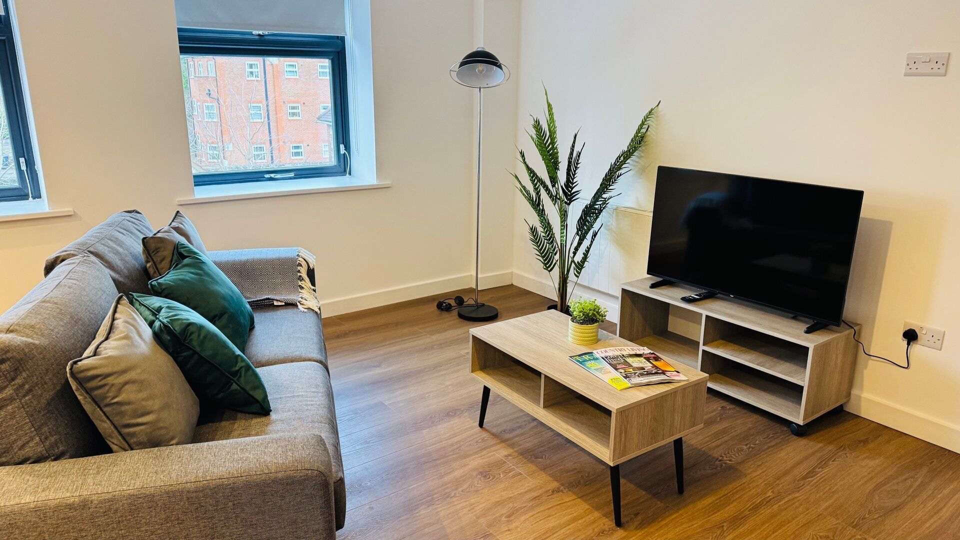 A modern living room with a sofa, a coffee table, a TV, and a plant.