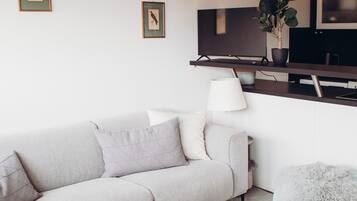 Fernseher