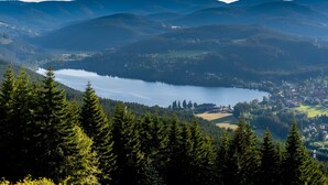 A mountainous landscape with a lake, dense forest, and a small town. - Fredy's Paradise in the Cathedral City of St. Blasien (Sankt Blasien)