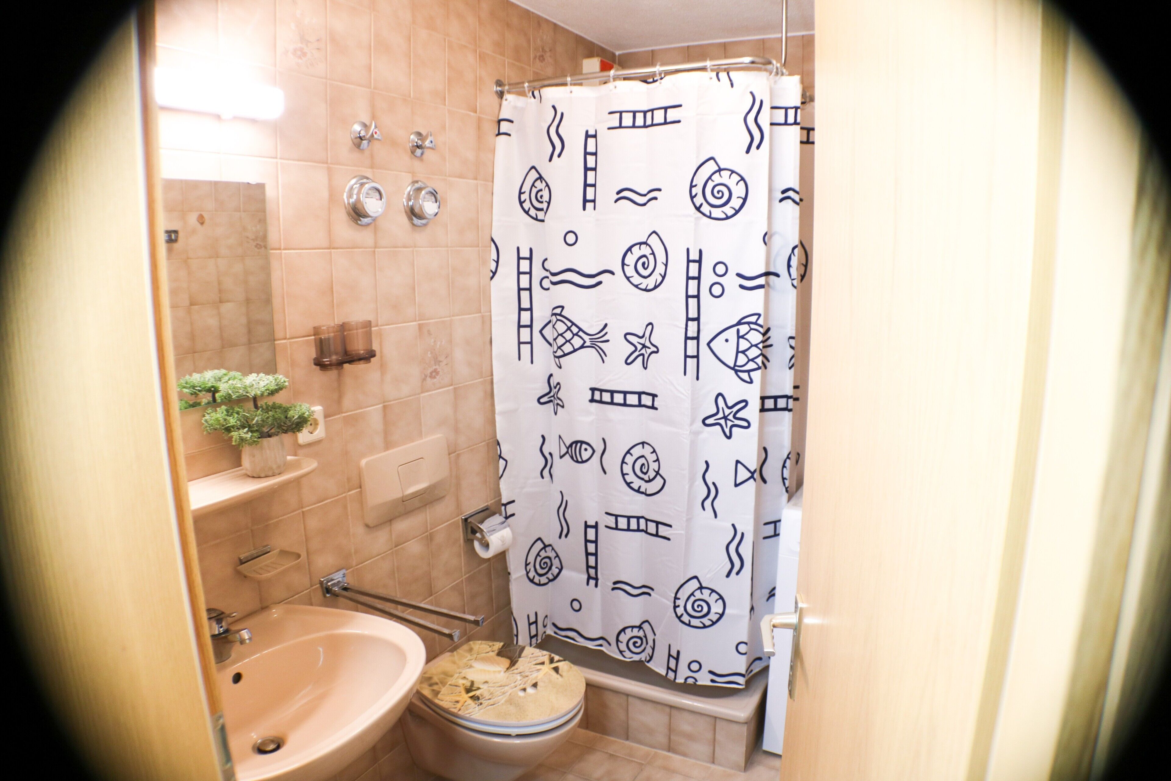 Ducha, secador de pelo y toallas