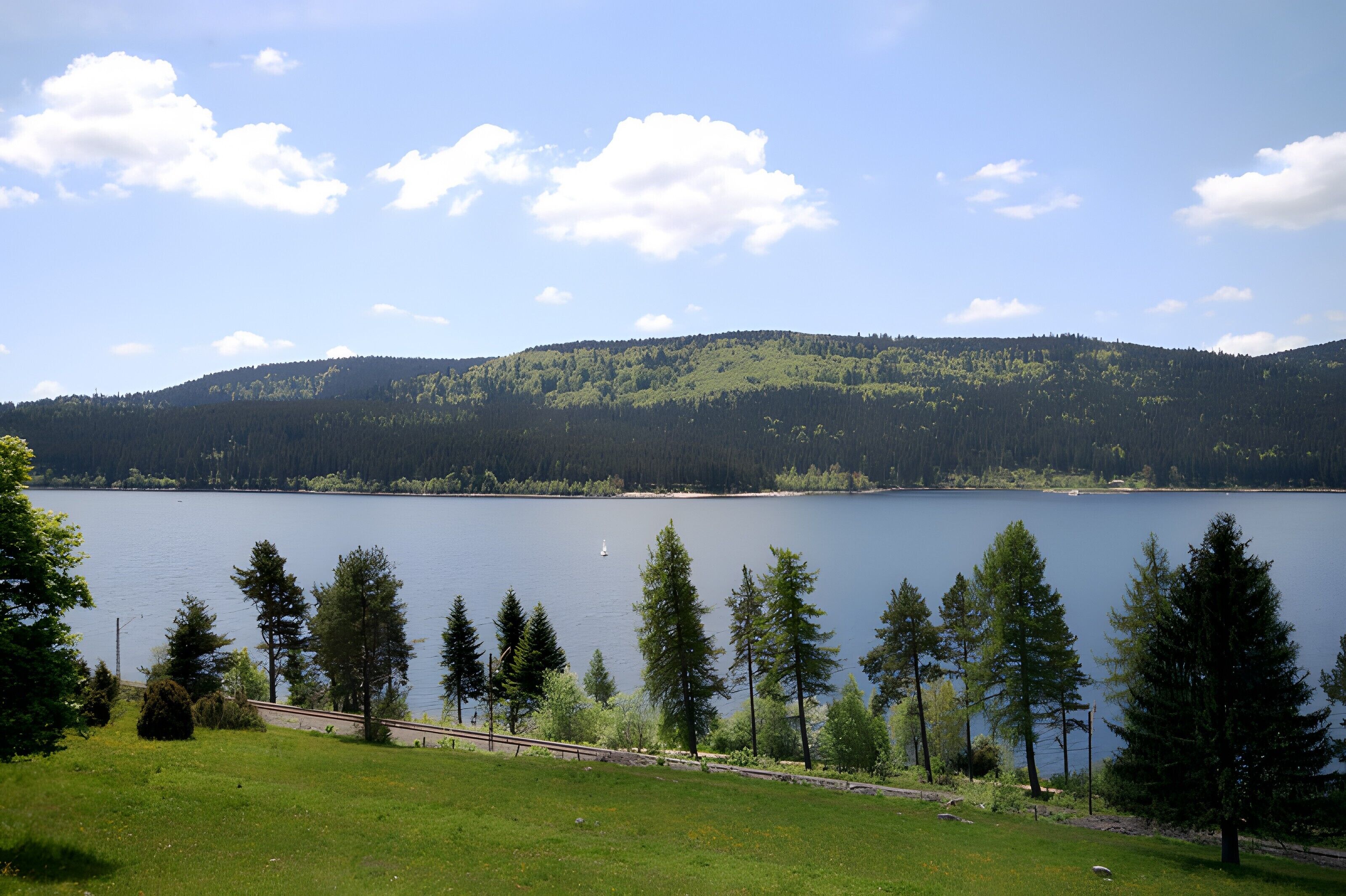 A lake with a forested hill in the background, a clear sky, and a pathway leading to the water.