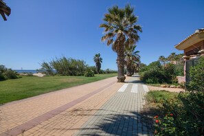 A paved pathway lined with palm trees and greenery, leading to a building with a tiled roof.