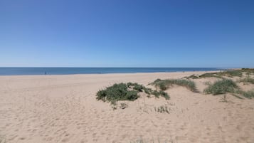 Playa en los alrededores