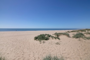 A sandy beach with dunes and clear blue sky. - Seafront Apartment with Ocean Views, Wi-Fi, and Air Conditioning (Isla Canela)