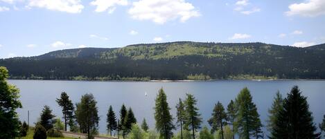 A lake with a forested hill in the background, a clear sky, and a pathway leading to the water.