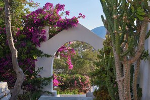 Property grounds - Artemis | 1 Bedroom Apartment with partial mountaView and Patio, Cleopatra Home (Paros)